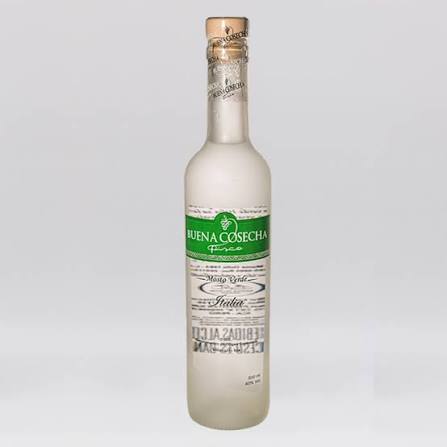 PISCO BUENA COSECHA MOSTO VERDE ITALIA